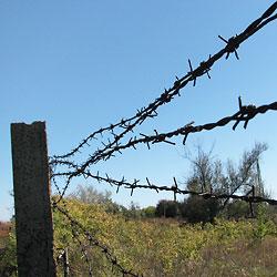 Колючая проволока Егоза: надёжная защита вашего имущества Колючая проволока Егоза: надёжная защита вашего имущества